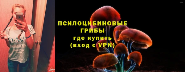 СК Алексеевка