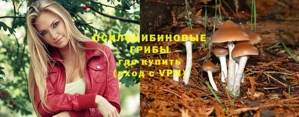 прущие крисы Алзамай