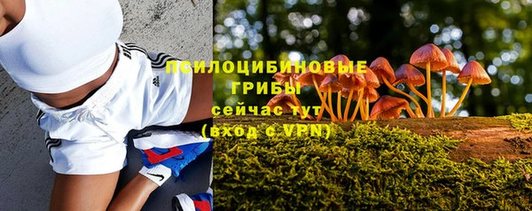 СК Алексеевка