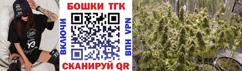 Каннабис план  Купить закладки  Каменка 